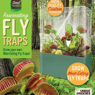 Fascinating Flytraps Seed Square Terrarium