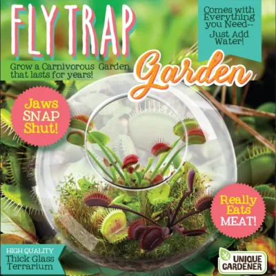 Flytraps Glass Terrarium Seed Kit