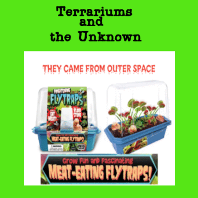 Venus Flytrap Terrarium and the Unknown